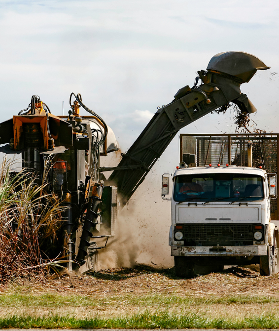 QCAR Queensland Cane, Agriculture & Renewables